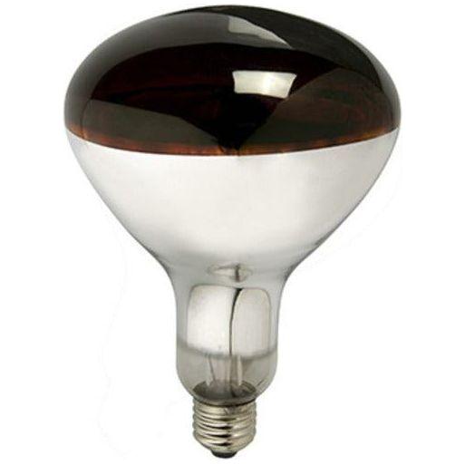 Radiant Ruby Infrared Heat Lamp 175W