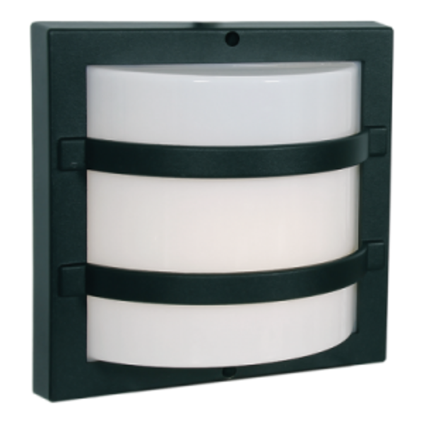Rectangular Small Grid Bulkhead - Black