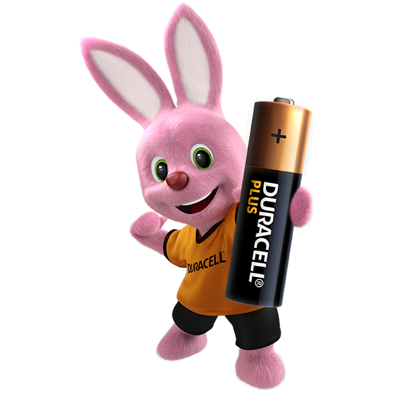 AA Duracell Alkaline Battery - 4 Pack